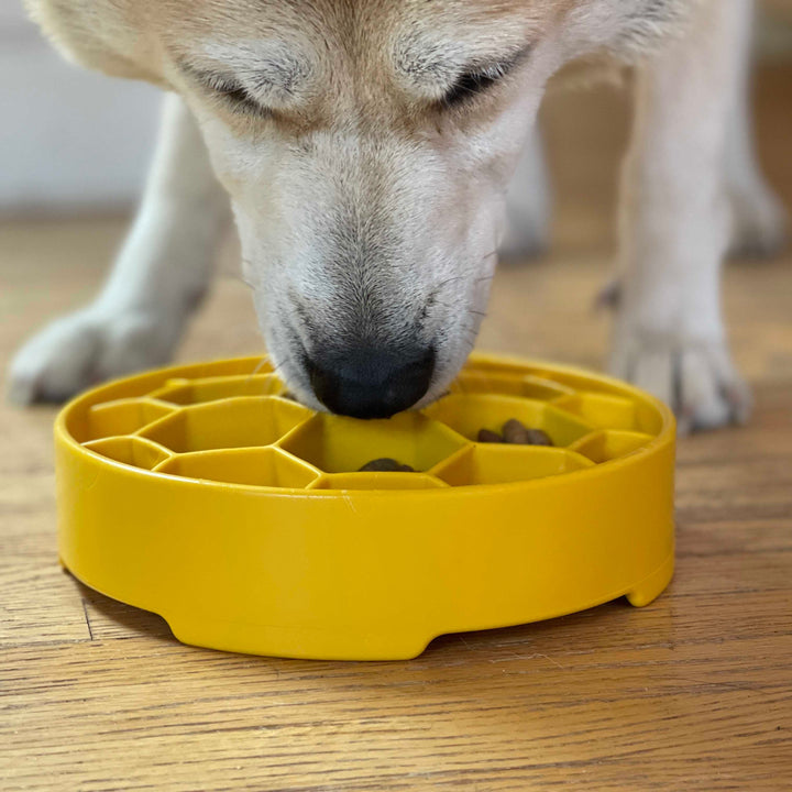 Honeycomb Design eBowl Enrichment Slow Feeder Bowl for Dogs