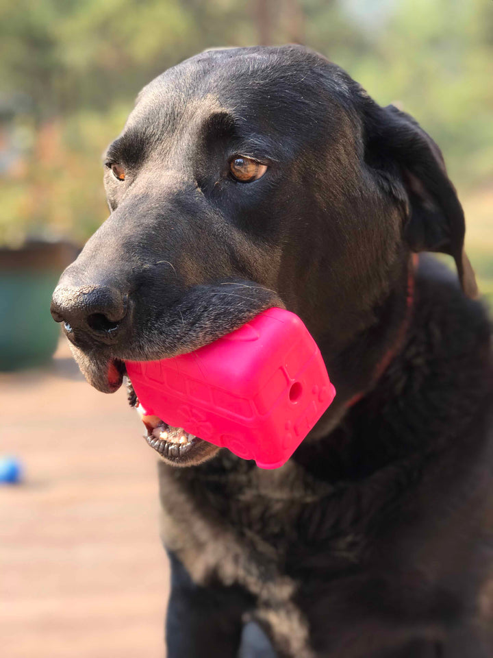 Surf's Up! Retro Van  Durable Chew Toy & Treat Dispenser