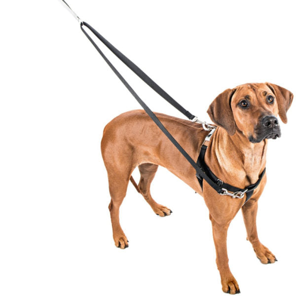 Red Freedom No-Pull Dog Harness