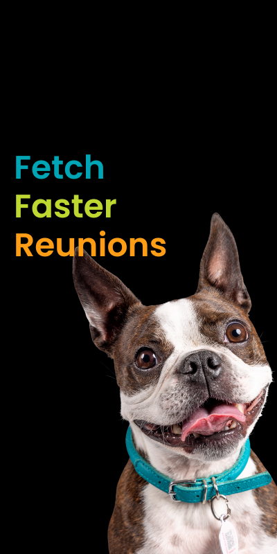 Mobile_View_Fetch_Big_Savings_Slide_1_15960f66-20fe-4687-a743-f923941ab979.png