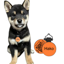 PetHub Silicone Silent Glow-in-the-Dark Orange MiniTag