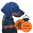 PetHub Silicone Silent Glow-in-the-Dark Orange Tag