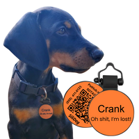 PetHub Silicone Silent Glow-in-the-Dark Orange Tag