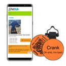 PetHub Silicone Silent Glow-in-the-Dark Orange Tag