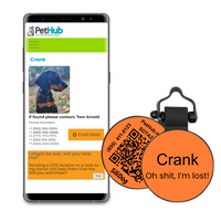 PetHub Silicone Silent Glow-in-the-Dark Orange Tag