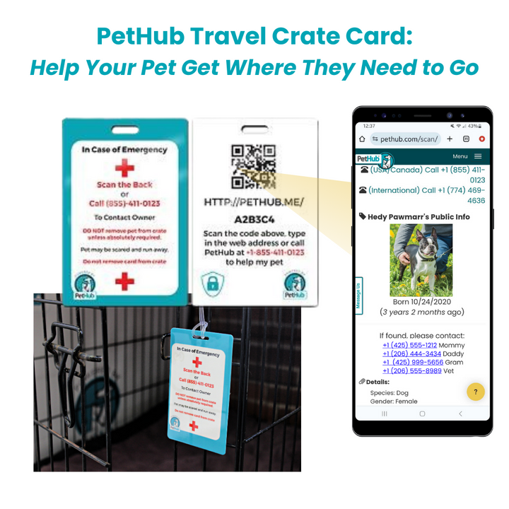 QR Pet Comprehensive Identification: ReadyKit