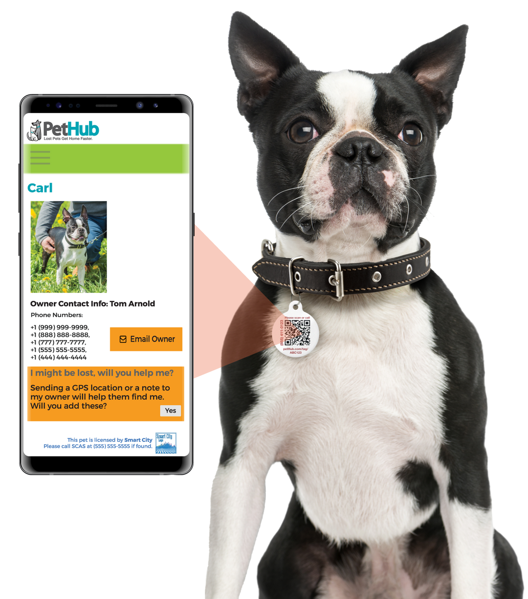 QR ID Pet Collar - dogids: ScruffTag Collar (QR Nylon Collar with Easy-Release Buckle)