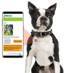 FINAL SALE: Basic Aluminum QR ID Pet Tag