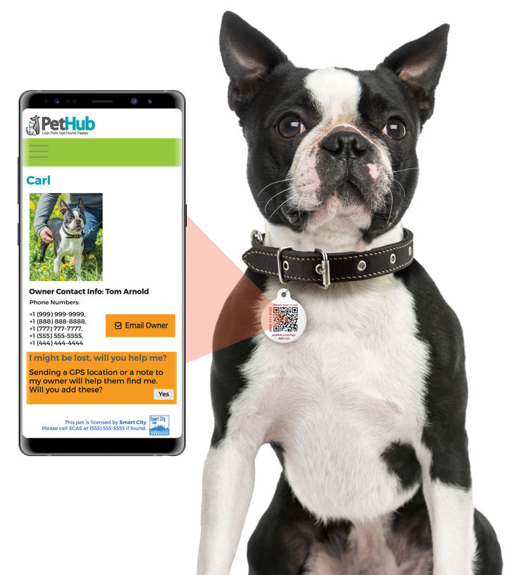 QR ID Pet Tag - Medical Alert