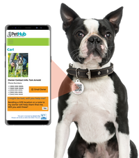 PetHub QR Pet ID Tag – Get Me Home Club