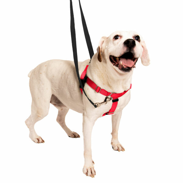 Red Freedom No-Pull Dog Harness