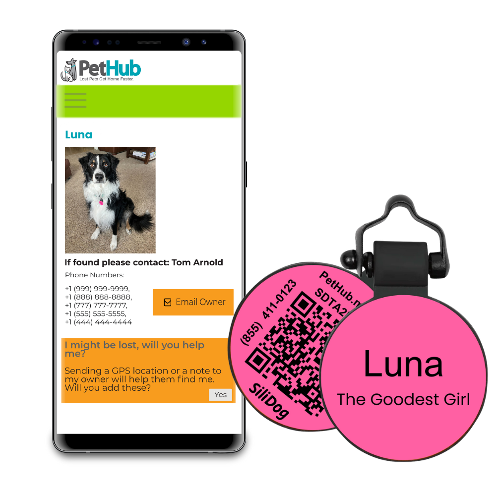 PetHub Silicone Silent Glow-in-the-Dark Pink MiniTag