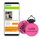 PetHub Silicone Silent Glow-in-the-Dark Pink MiniTag