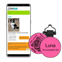 PetHub Silicone Silent Glow-in-the-Dark Pink MiniTag