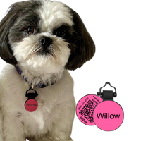 PetHub Silicone Silent Glow-in-the-Dark Pink MiniTag