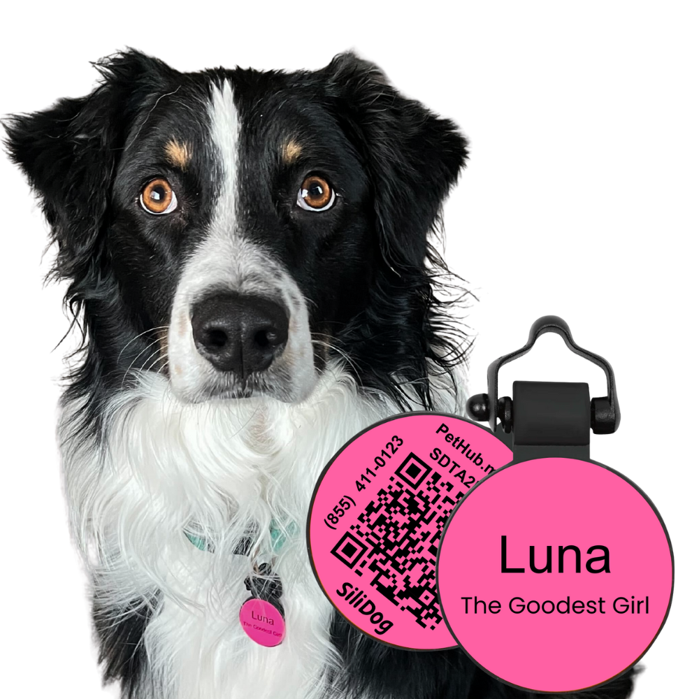 PetHub Silicone Silent Glow-in-the-Dark Pink Tag