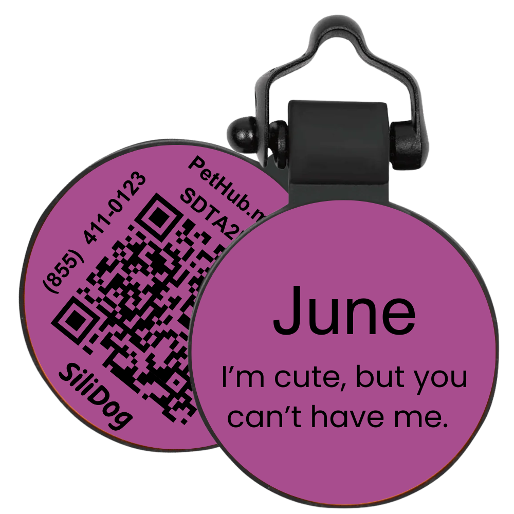 PetHub Silicone Silent Glow-in-the-Dark Purple Tag