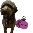 PetHub Silicone Silent Glow-in-the-Dark Purple MiniTag