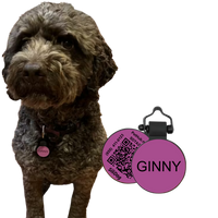 PetHub Silicone Silent Glow-in-the-Dark Purple MiniTag