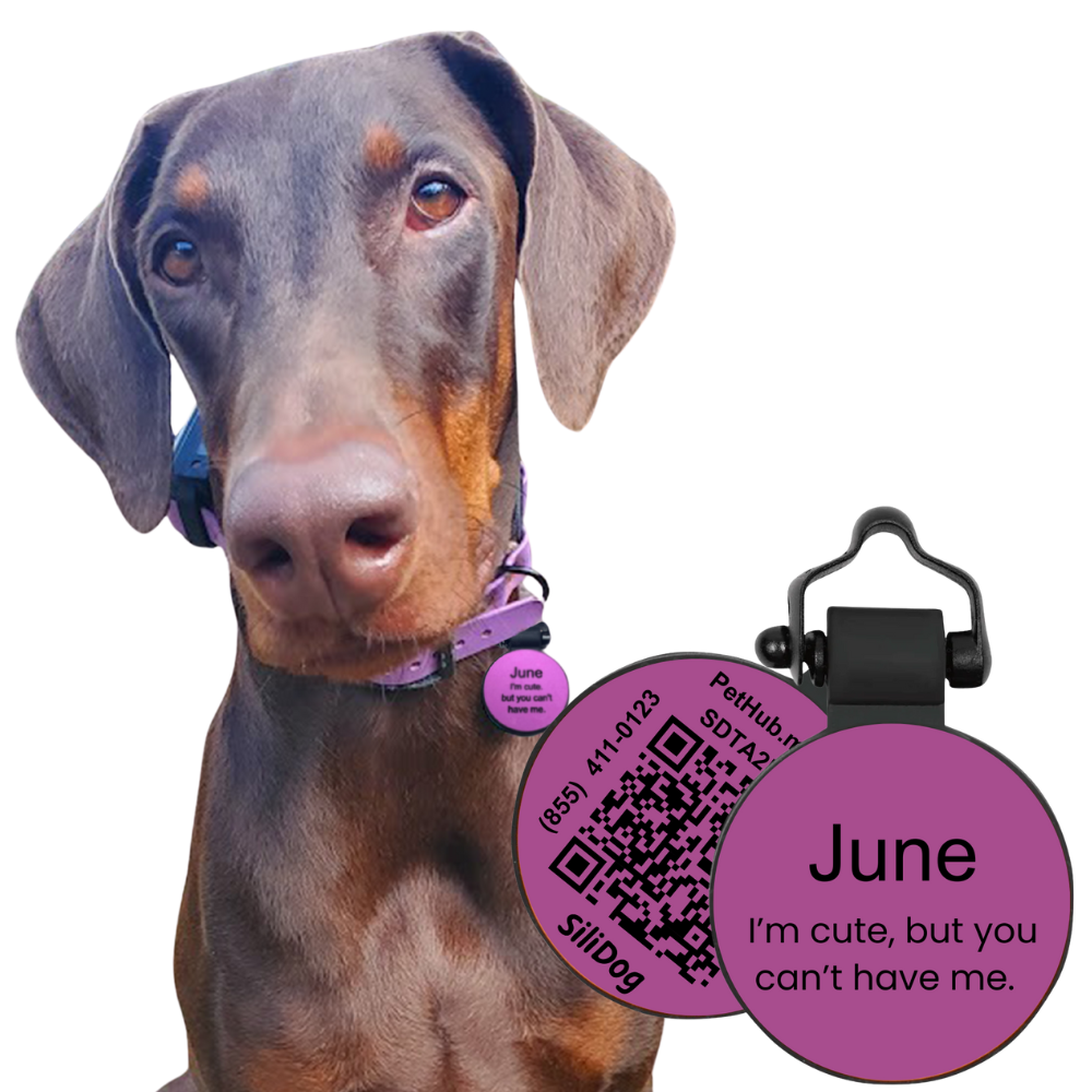 PetHub Silicone Silent Glow-in-the-Dark Purple Tag