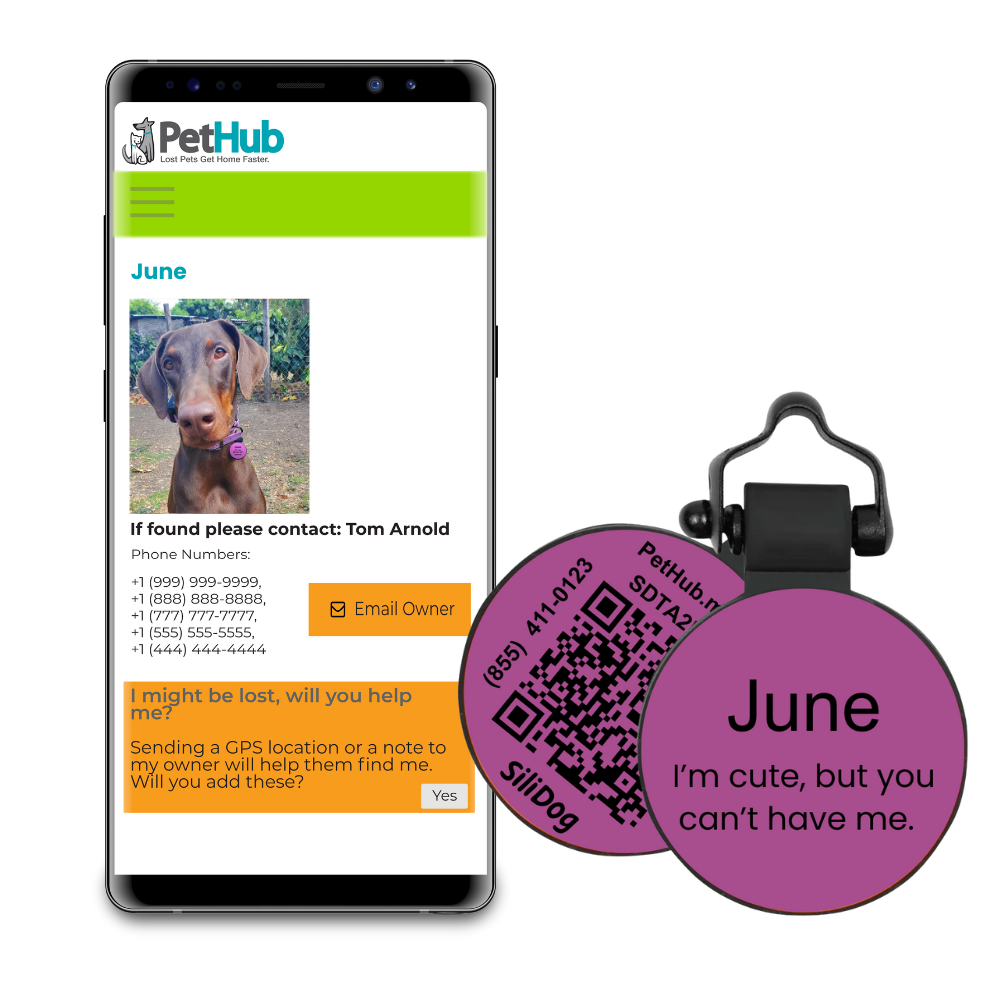 PetHub Silicone Silent Glow-in-the-Dark Purple MiniTag