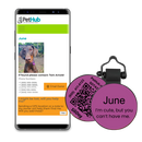 PetHub Silicone Silent Glow-in-the-Dark Purple MiniTag