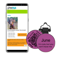 PetHub Silicone Silent Glow-in-the-Dark Purple MiniTag