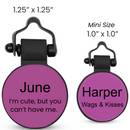 PetHub Silicone Silent Glow-in-the-Dark Purple MiniTag