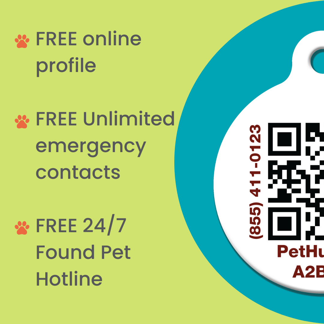 QR ID Pet Collar - dogids: ScruffTag Collar (QR Nylon Collar with Easy-Release Buckle)