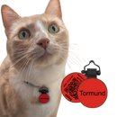 PetHub Silicone Silent Glow-in-the-Dark Red MiniTag