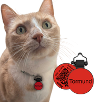 PetHub Silicone Silent Glow-in-the-Dark Red MiniTag