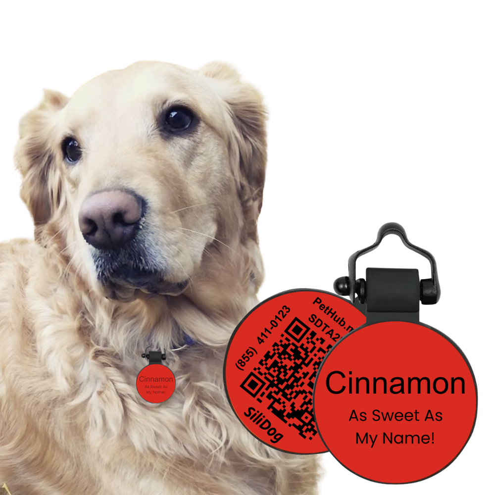 PetHub Silicone Silent Glow-in-the-Dark Red Tag