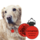 PetHub Silicone Silent Glow-in-the-Dark Red Tag