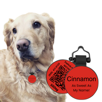 PetHub Silicone Silent Glow-in-the-Dark Red Tag