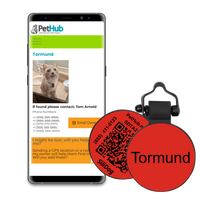 PetHub Silicone Silent Glow-in-the-Dark Red Tag