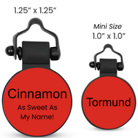 PetHub Silicone Silent Glow-in-the-Dark Red Tag