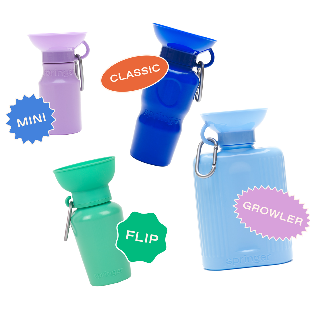 Classic Dog Travel Bottle (22 OZ)