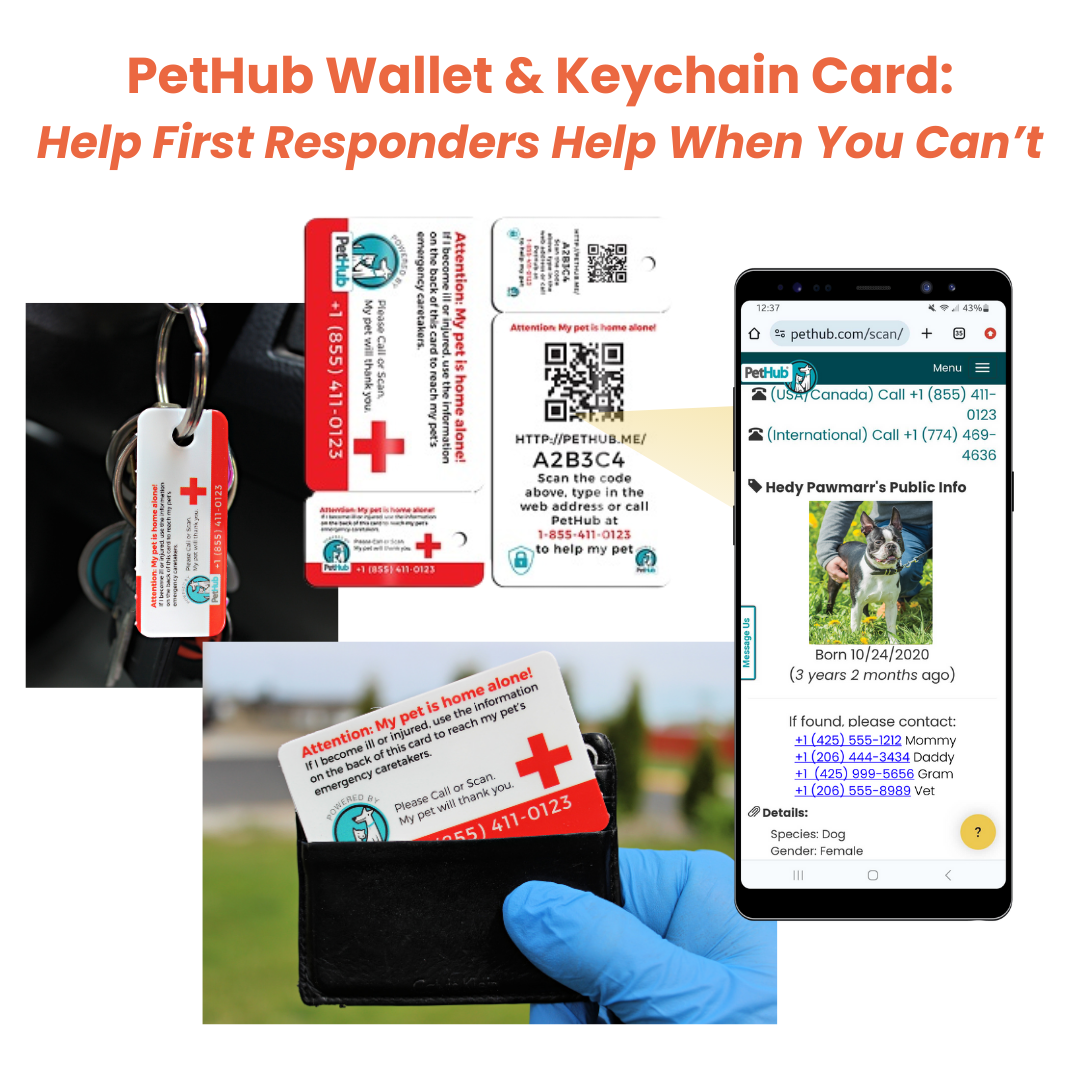 QR Pet Identification: Wallet & Keychain Card