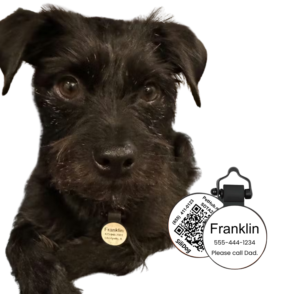 PetHub Silicone Silent Glow-in-the-Dark White Mini Tag