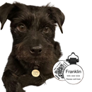 PetHub Silicone Silent Glow-in-the-Dark White Mini Tag