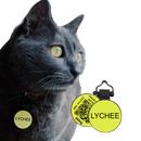 PetHub Silicone Silent Glow-in-the-Dark Yellow MiniTag