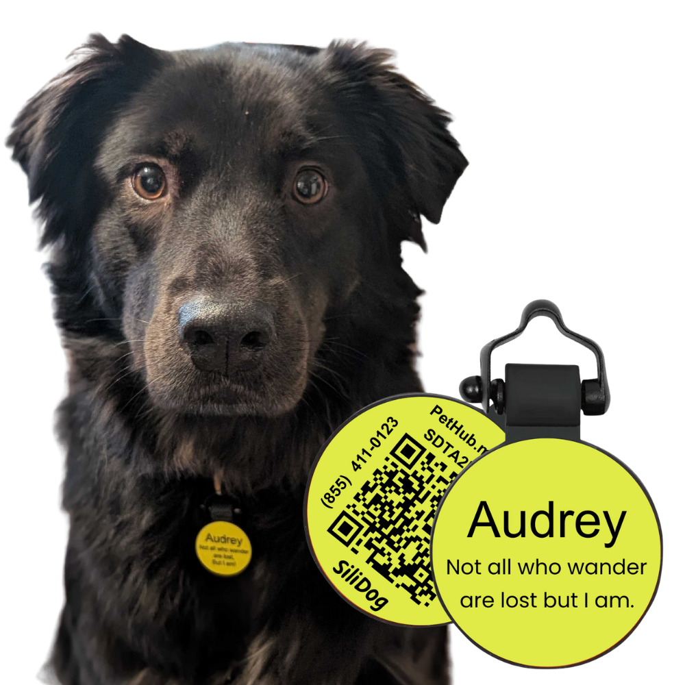 PetHub Silicone Silent Glow-in-the-Dark Yellow Tag