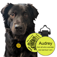 PetHub Silicone Silent Glow-in-the-Dark Yellow Tag