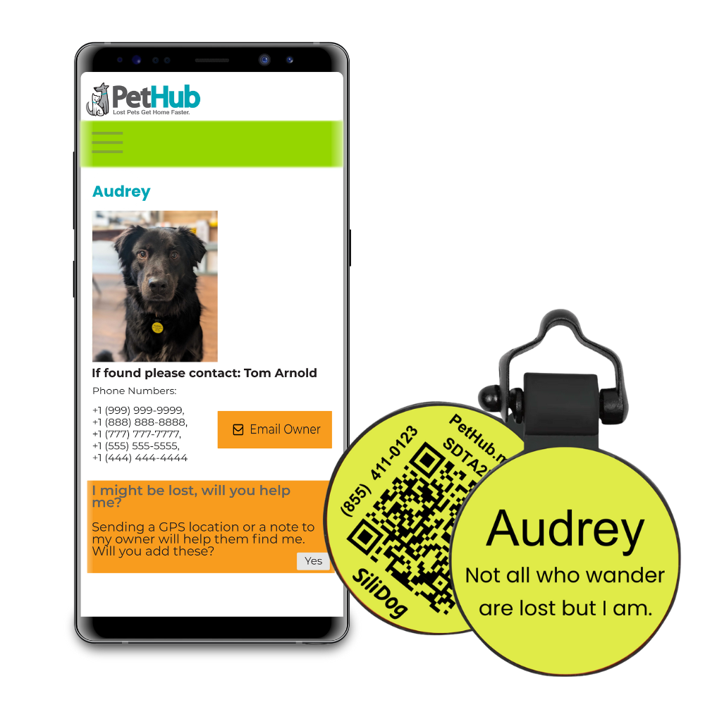 PetHub Silicone Silent Glow-in-the-Dark Yellow Tag