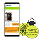 PetHub Silicone Silent Glow-in-the-Dark Yellow Tag