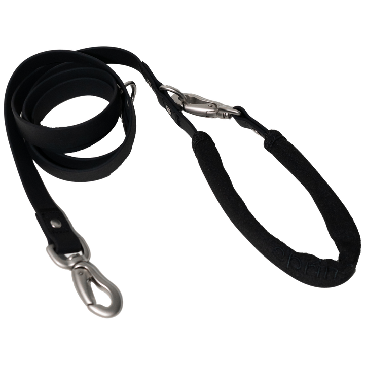 Small Dog Leash