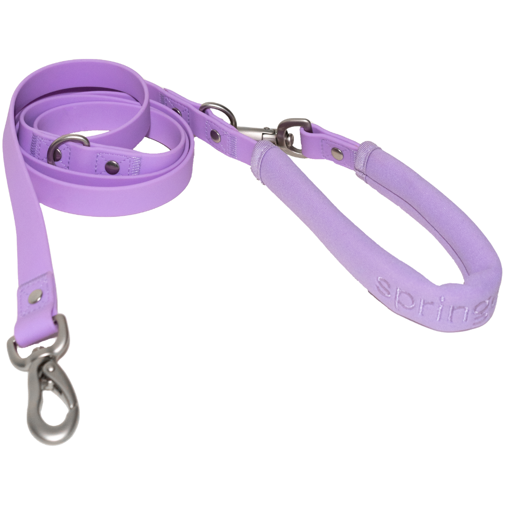 Small Dog Leash