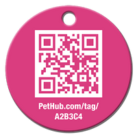 FINAL SALE: Basic Aluminum QR ID Pet Tag