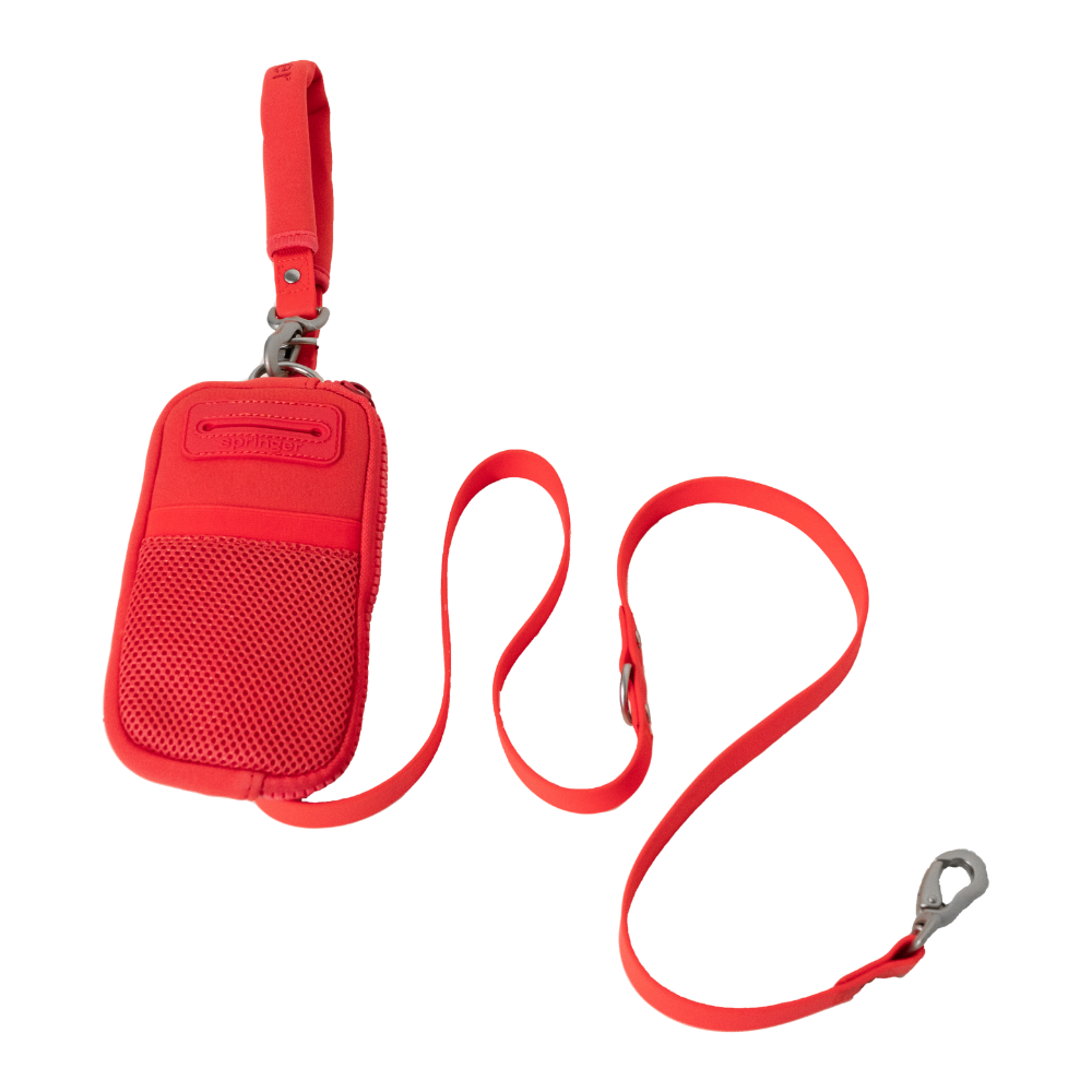 Walk Bag + Small Dog Leash