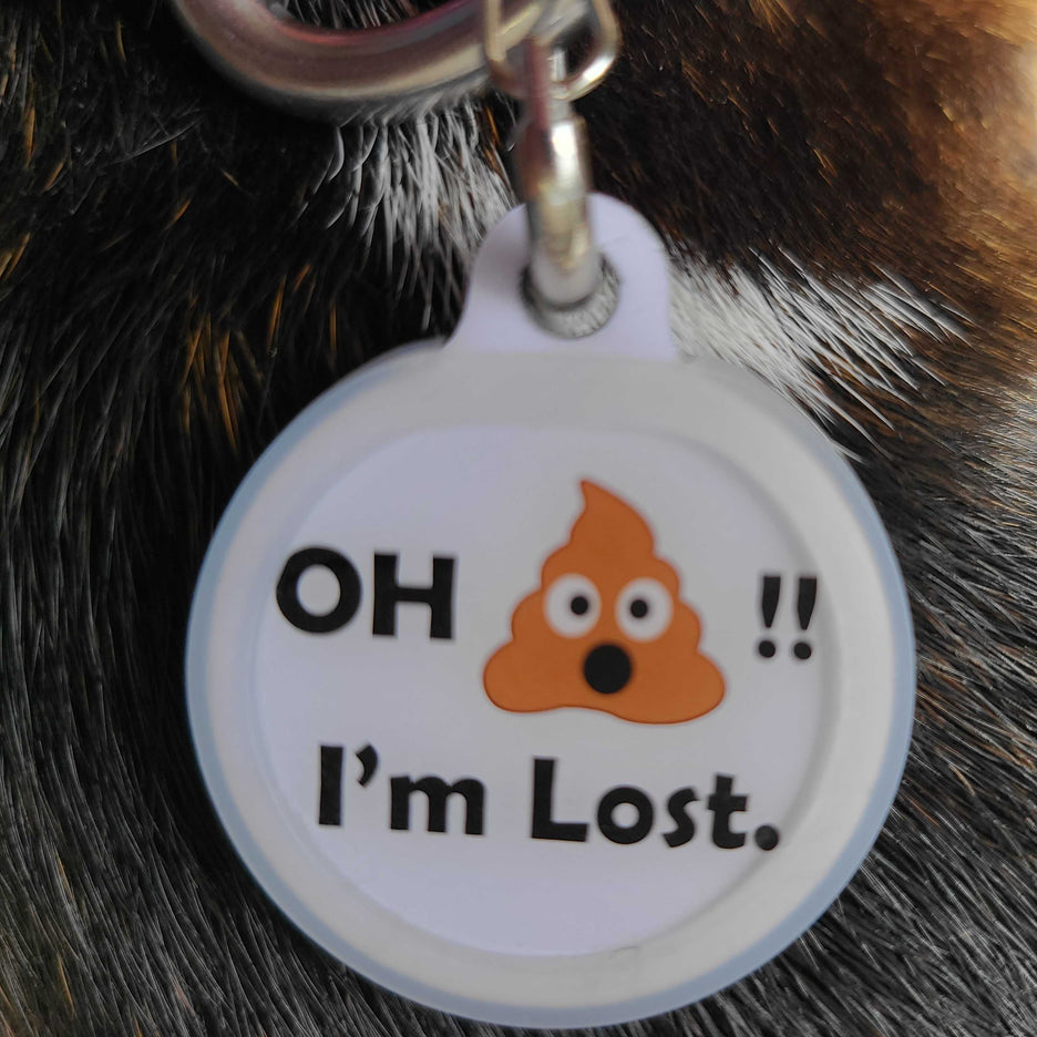 EZ Change Pet Tag Clip – Quick-Release Tag Connector